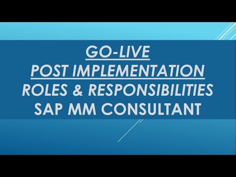 SAP mm implementation consultant roles and responsibilities