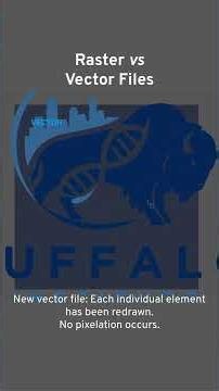 Raster vs Vector Files | Vectorization Services