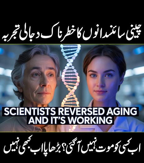 164K views · 3.2K reactions | Chinese scientists develop to reverse age۔ Chinese scientists achieve breakthrough in reversing aging in primates Chinese scientists have demonstrated that genetically engineered human stem cells can reverse key signs of aging in monkeys, marking a major step toward potential therapies for age-related decline in humans, reports a Kazinform News Agency correspondent. #urducover #ScienceBreakthrough | Urdu Cover | Facebook