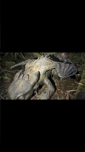 POV 4K REAL TOOTHLESS DRAGON