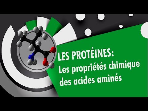 Propriétés chimiques des acides aminés - Les proteines (2/4)