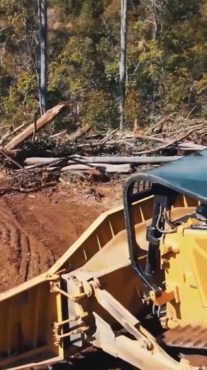 Cat D8T - Have you seen a Bulldozer blade like this Full video on our channel | Crazy with CAT