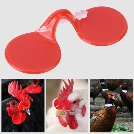 Anti-Pecking High-Quality Plastic Materials, Chicken Farm Equipment, Chicken Goggles, Native Chickens For Chicken Pheasants White Feathered Broilers - Walmart.ca