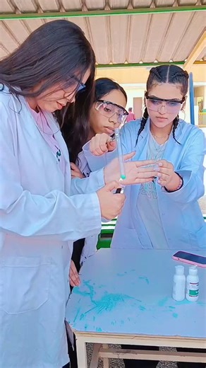 37 reactions · 9 comments | Day 2 of the Science Fair was absolutely electric! Brilliant minds, jaw-dropping experiments, and unstoppable creativity filled the room. The future of science is shining bright! ✨ #ScienceFair #Elalsson #international #school #schoolyear20242025 #schoollife | El Alsson International School - Saqqara | Facebook