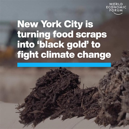 There’s gold in them there peels: New York City’s food waste collection programme transforms food scraps into a dark, nutrient-rich compost known as ‘black gold’. In its first year of operation, the programme gave away 2,700 tonnes of this #compost to New York residents – helping to curb greenhouse gas emissions while building a more climate-resilient metropolis in the process. Here’s how it works. Find out more about the Forum’s work to make global #food systems more nutritious, resilient and e
