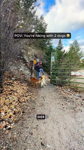 The Reality of Hiking With Two Dogs 😂