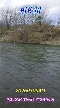 #shorts [Sagami River] 20260309AM What is the current water temperature, water level, and water c...