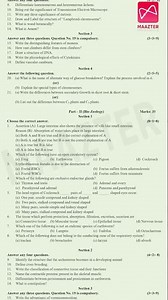 11th Std Biology | Halfyearly Exam | Model question paper 2025 | Original question paper pattern |