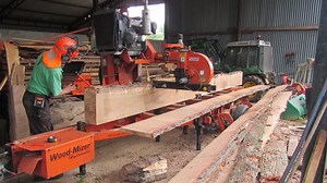 Cutting Waru Timber Into Slim 2cm Boards Using Road Saw Technique