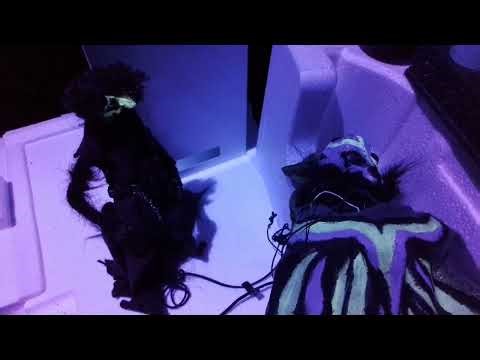 The Alien Invaders from the Planet M-Paelor : part one