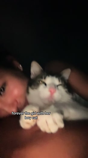 love love love you. #foryouu #2026 #cat #boy #love | boy cat