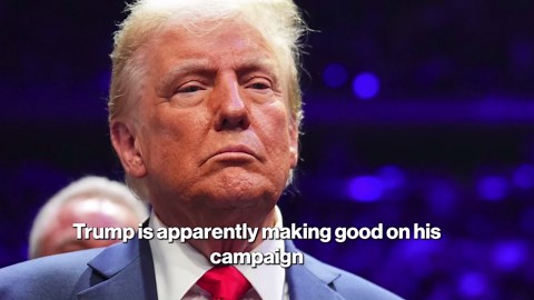 What is the Alien Enemies Act — and why Trump invoked it to deport illegal migrants