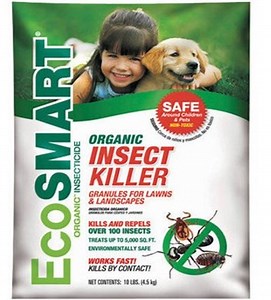 5 Ant Killers That Are Safe For Your Pet Rabbits - Here Bunny