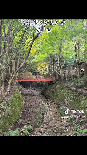 京都市左京区大原 三千院 #京都観光 #京都市 #左京区 #大原 #三千院 #京都好きな人と繋がりたい