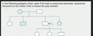 In the following pedigree chart, state if the trait is autosoma... | Filo