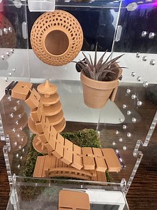 Flexi Bridge Decor | Enclosure Decor | Jumping Spiders /preying Mantis & More - Etsy