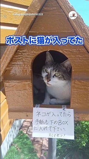 Ega-chan is in the mailbox | PECO