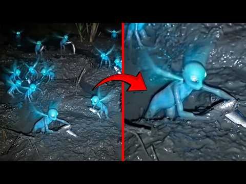Real Fairies Caught on Camera That Will Mess With Your Head!