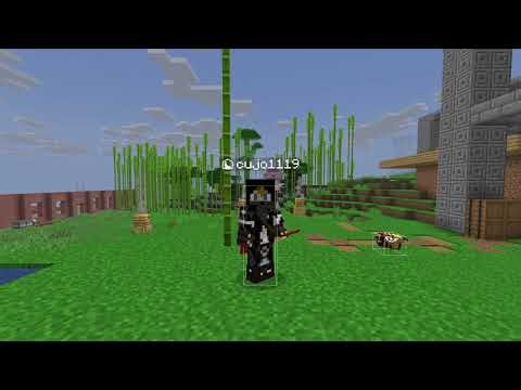 Introduction to Operation Revival (Stoneworks MC server)