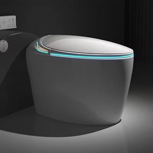[Hot Item] Luxury Egg Shape Arrow Smart Intelligent Automatic Wc One Piece Toilet