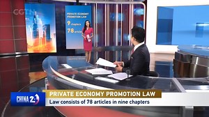 China has started implementing the Private Sector Promotion Law, which is the country's first foundational legislation of its kind. Comprising nine chapters and 78 articles, the law addresses areas including fair competition, investment and technological innovation. Our reporter Zheng Chunying brings us the key points and specific support for SMEs and cross-border e-commerce. #ChinaEconomy #privatesector | CGTN China24 | Facebook
