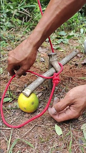 Homemade spring trap - bent wooden strip trap mechanism