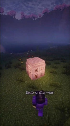 Quick starter shack in Minecraft