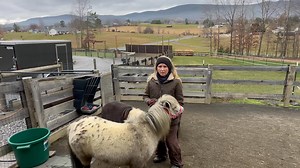 Bucket Time! … Colic… | Cat Jones