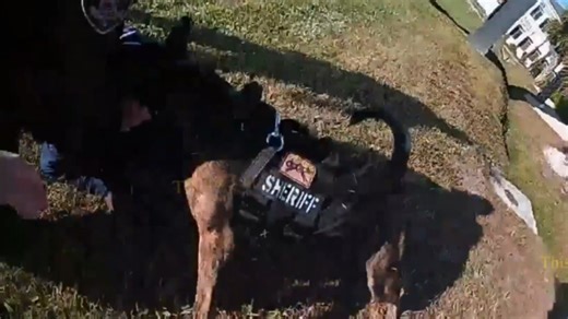 Florida Man Finds Out It Was a Bad Idea to Choke a Police K9 Lee County, Florida — A Cape Coral man was arrested early Friday morning after deputies say he broke into a residence while the occupants were sleeping, fled the scene, refused to comply with law enforcement commands, and choked a sheriff’s office K-9 during his arrest. According to the Lee County Sheriff’s Office, deputies responded at around 9 a.m. to a reported burglary in progress at an apartment in the Whiskey Creek area. The resi