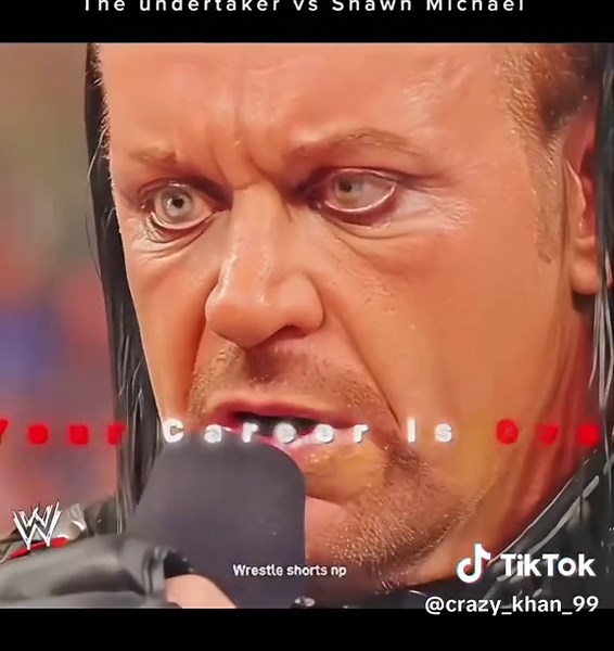 The Undertaker vs Shawn Michaels ( Streak vs career )#viral #foryou #foryoupage #tiktok #romanreign127