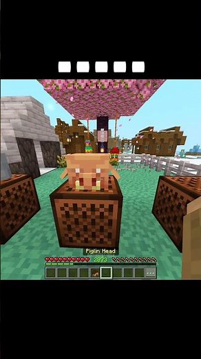 Minecraft Steve sound moments