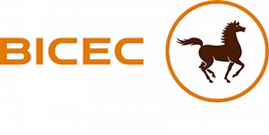 La BICEC, Filiale du Groupe Banque Centrale Populaire (BCP) recrute (01 Janvier 2025) - YOP L-FRII