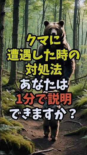 1分で説明「クマに遭遇した時の対処法」