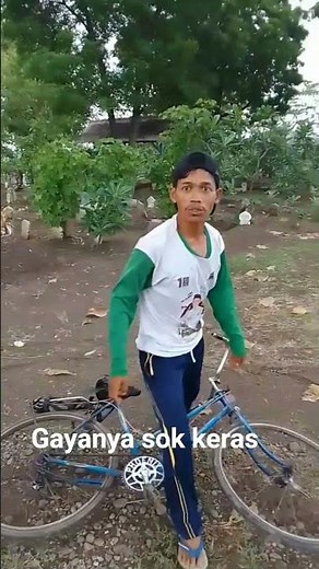 maksute apa