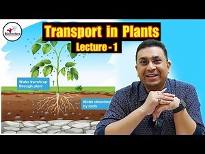 Transport in Plants l Lecture 1 l Biology l NEET