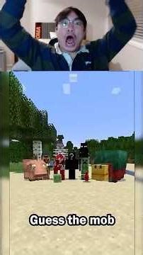 Guess the Mob in 60 Seconds