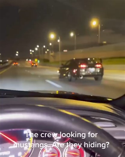 Mustang Hunting | Street FX Motorsport & Graphics