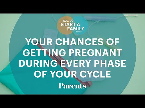 Your Chances of Getting Pregnant During Every Phase of Your Cycle | How to Start a Family | Parents