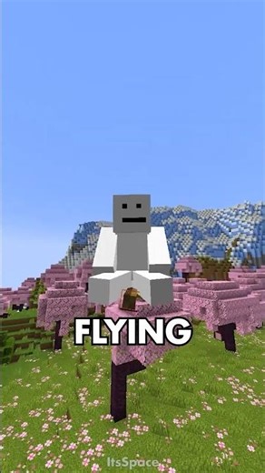 This Mod Adds Brooms?