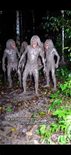 El lugar con más vida del planeta