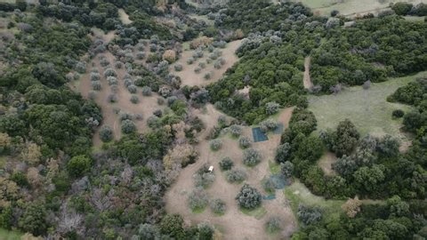 clip-3985439423-steep-mountain-olive-grove-traditional-harvest-remote