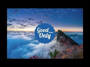 Avicii - Levels (Acapella)