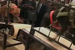 Museum bows to animal rights radicals over controversial pit bull video