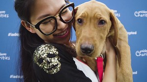 80K views · 917 reactions | You’ve done a lot to help pets in need....