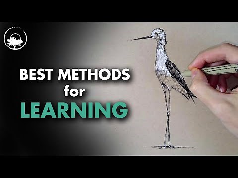 Books or Videos? - WHICH ONE for Learning to Draw