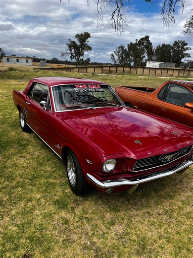 Relics Heritage Motor Club Inc. | Noel Bell’s sweet 1966 Ford Mustang for sale | Facebook