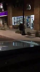 123K views · 3.5K reactions | PROWLING BEAR: A Placer County Sheriff's Office deputy spotted a giant black bear wandering down the sidewalk of a town just north of Lake Tahoe Details: wp.me/p5hgGs-2K3a | KRON 4 News | Facebook