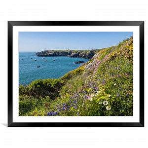 Flowers On The Cliffs Of St Justinian'S, Wales. Picture Framed & Mounted Wall Art in Colour by Colin Allen ID #1226484