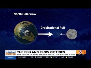 The Science Source: The ebb and flow of tides