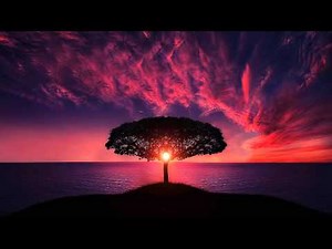 Open Root Chakra | Meditation Music & Vibrations @ 256Hz